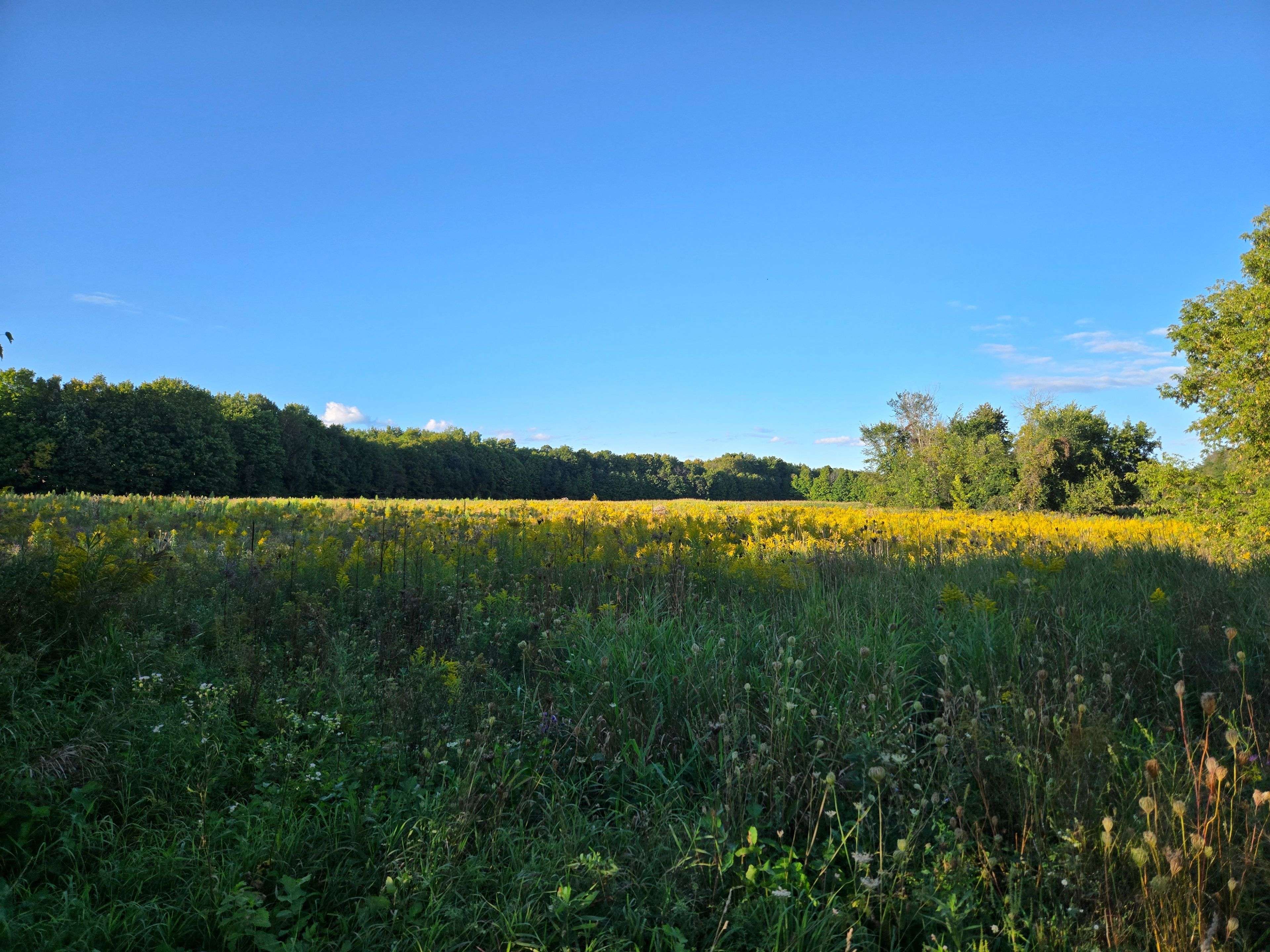 Lot 2 Bush RD, Rideau Lakes, ON K0G 1E0