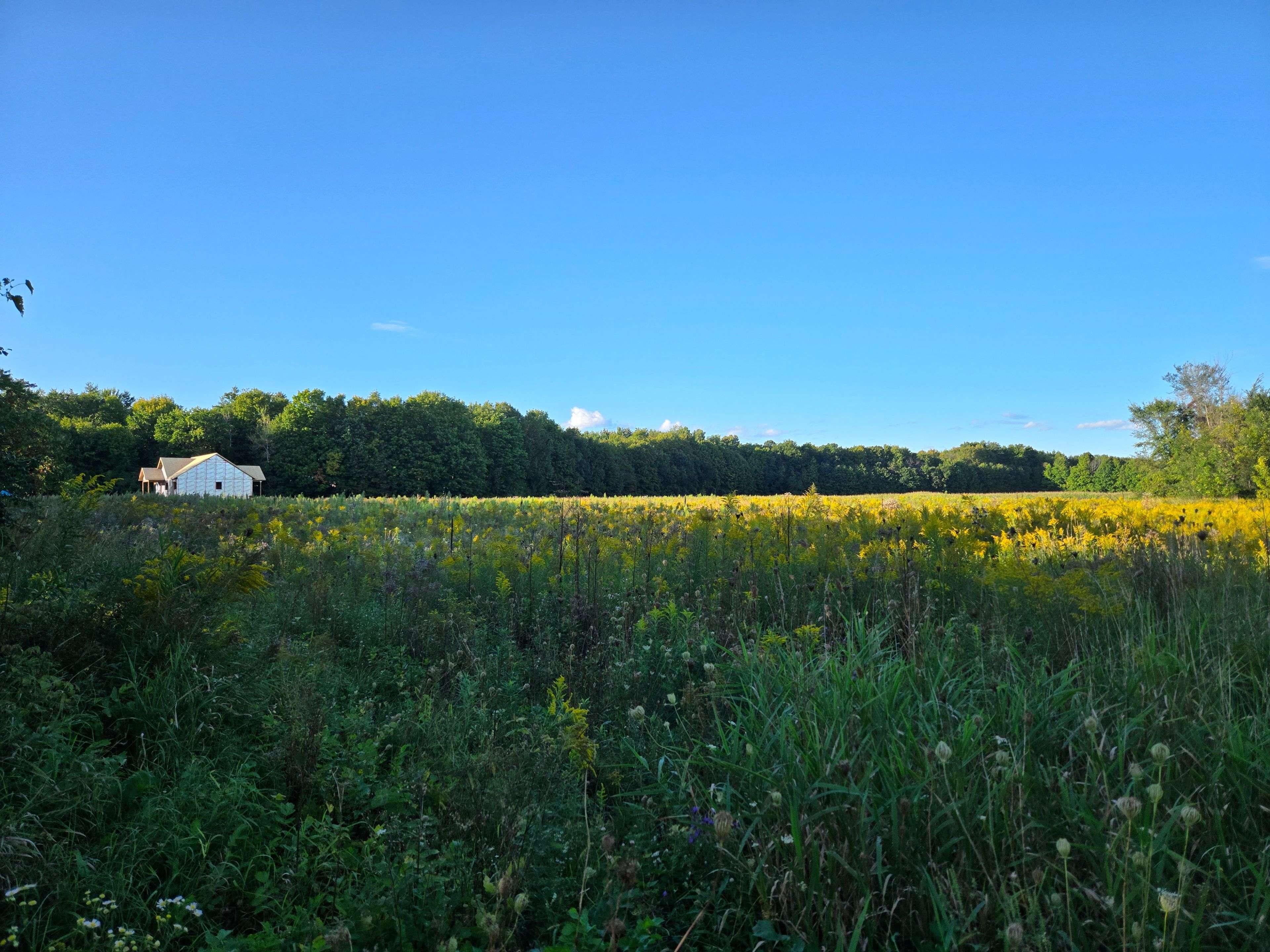 Lot 2 Bush RD, Rideau Lakes, ON K0G 1E0