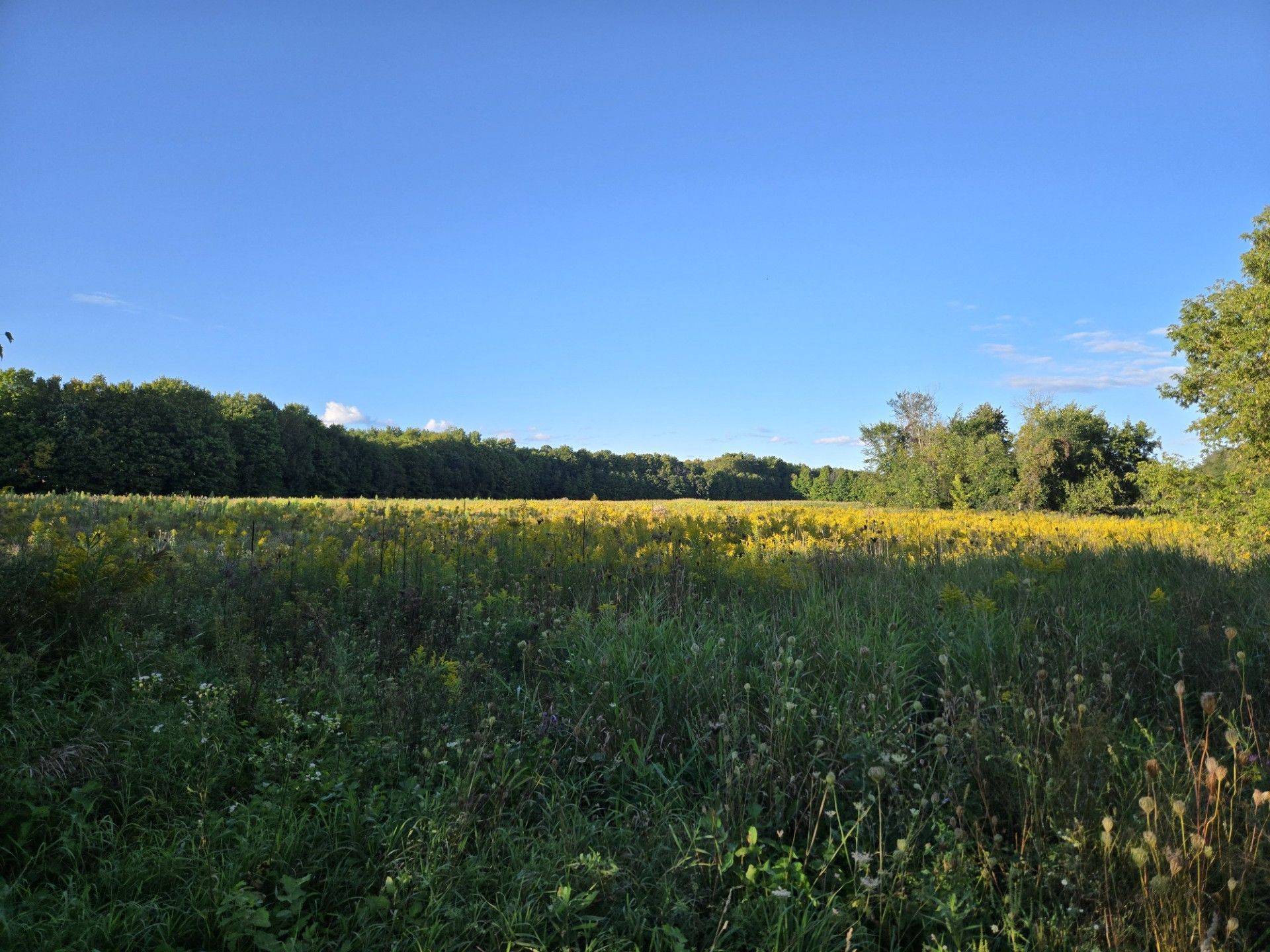 Lot 3 Bush RD, Rideau Lakes, ON K0G 1E0