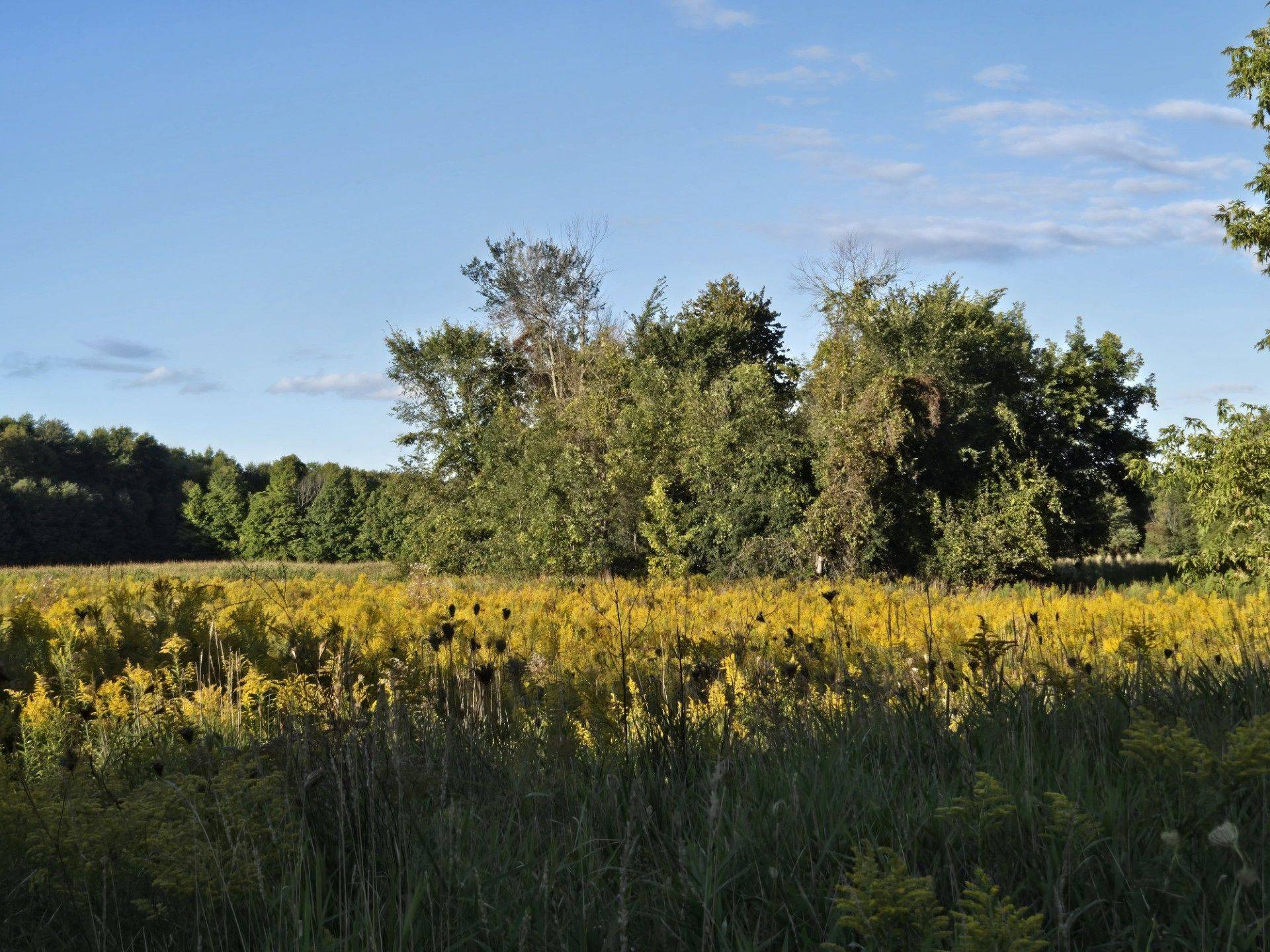 Lot 3 Bush RD, Rideau Lakes, ON K0G 1E0
