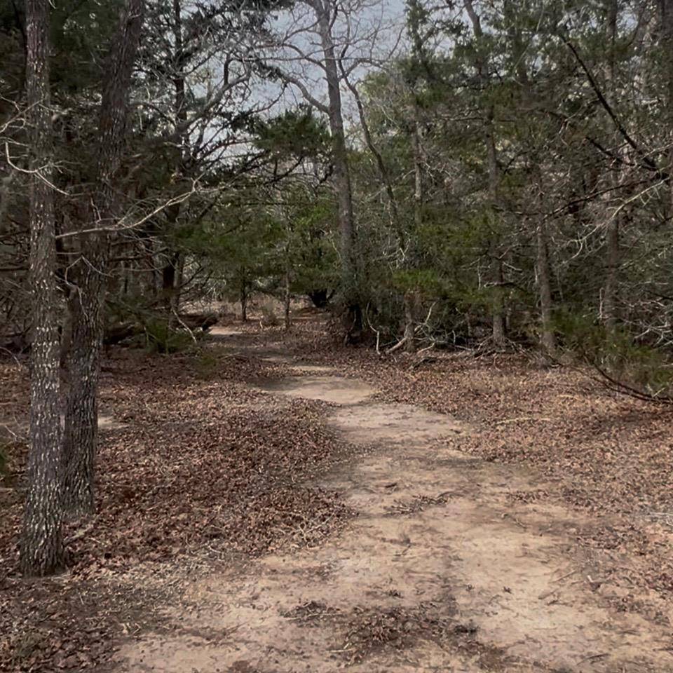 Lot 7 S Old Potato RD, Paige, TX 78659
