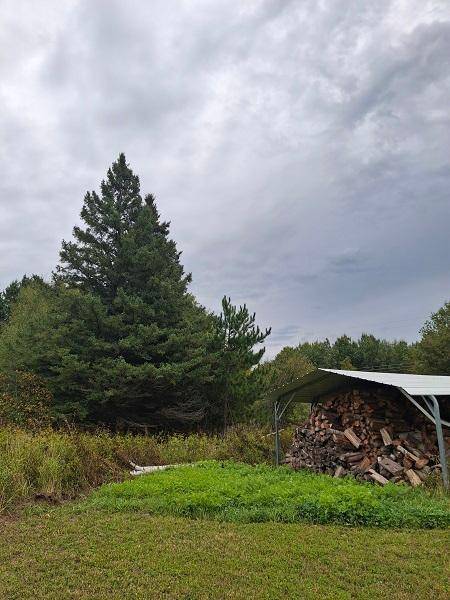 22194 Pennala Cartway, Bovey, MN 55709