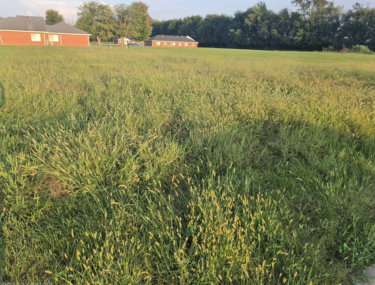 Lot 28 Memory LN, Streator, IL 61364