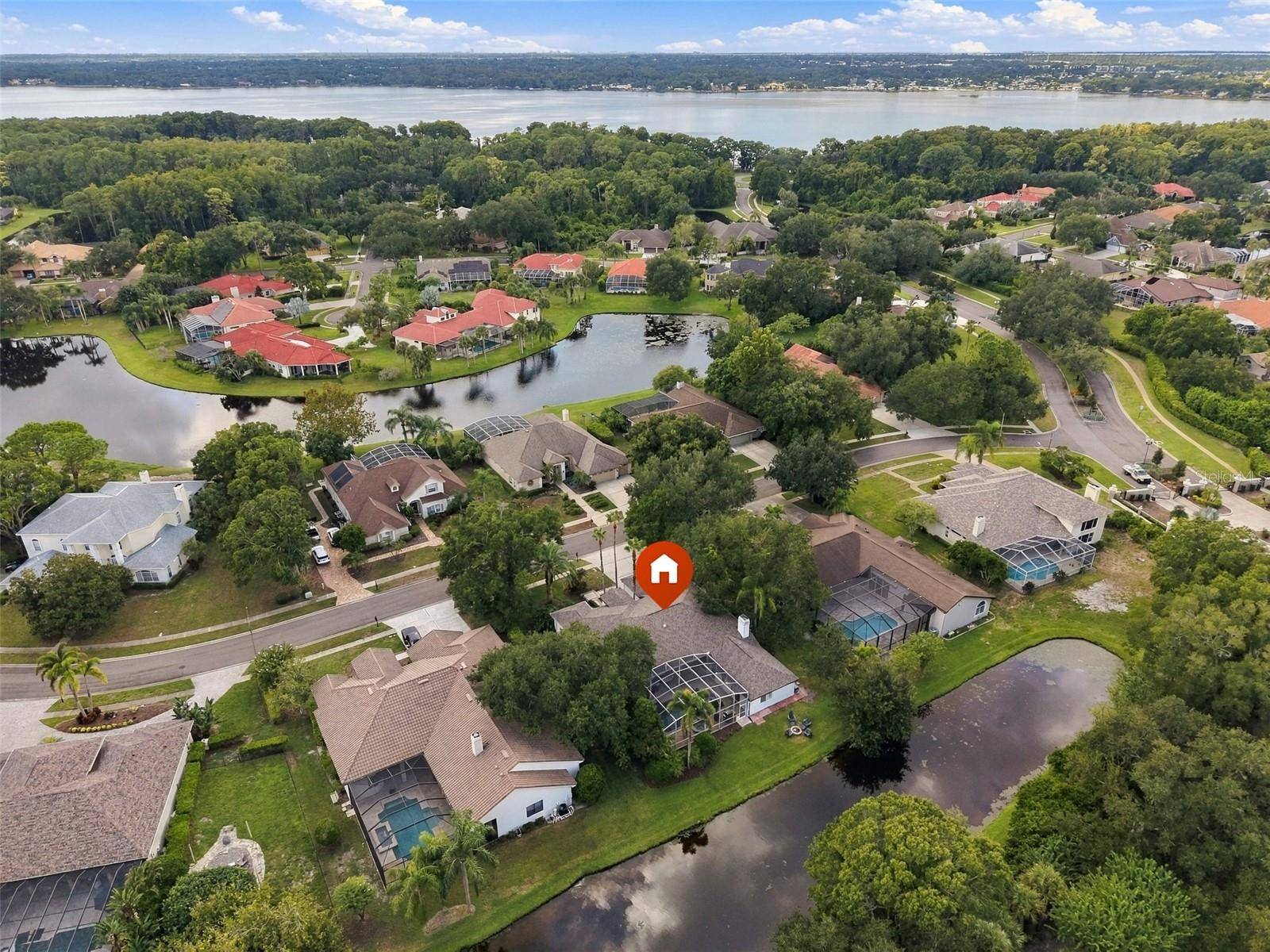 3921 ARLINGTON DR, Palm Harbor, FL 34685