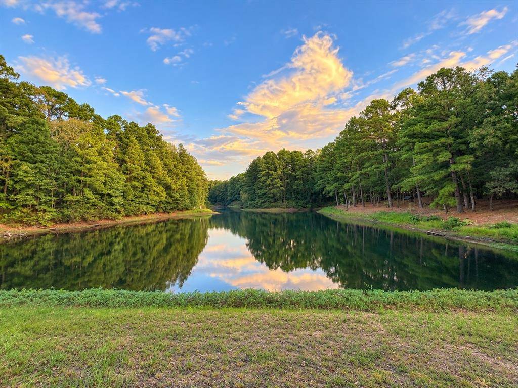 320 PR 8585, Winnsboro, TX 75494