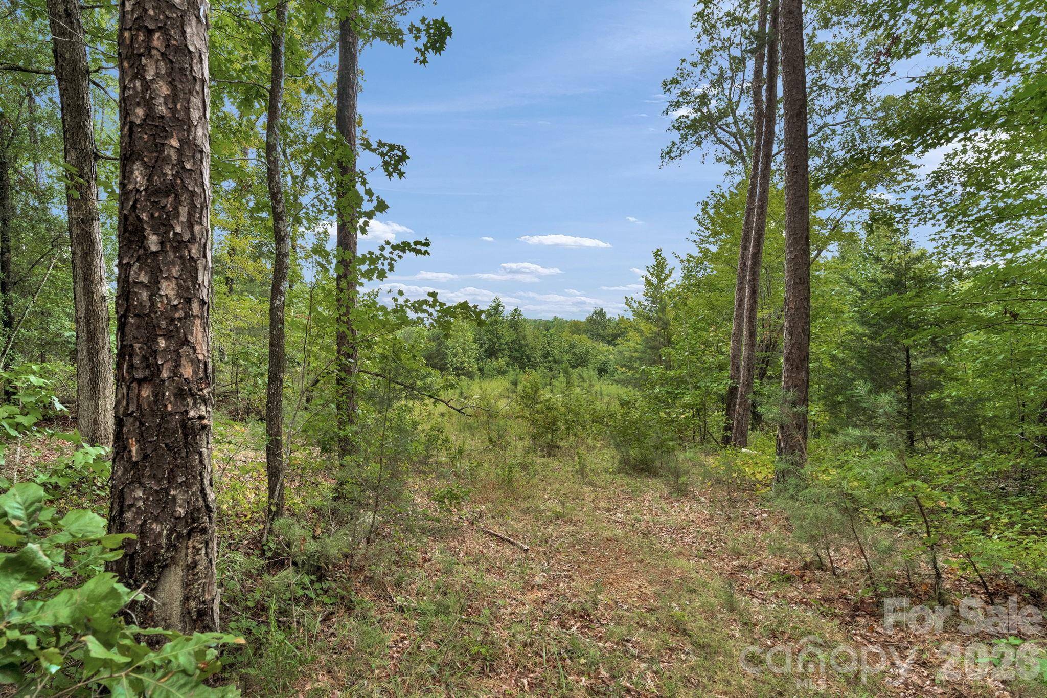 00 Mountain RD, Cleveland, NC 27013