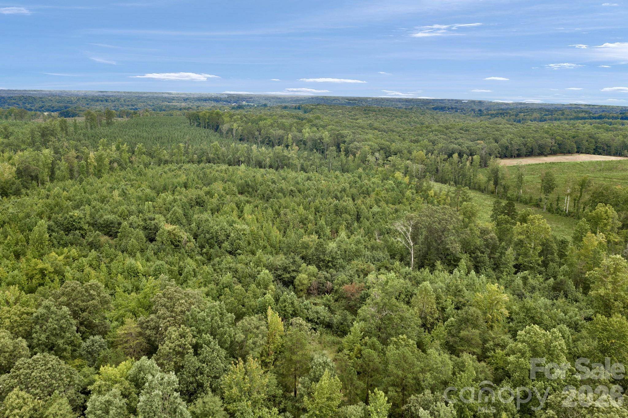 00 Mountain RD, Cleveland, NC 27013