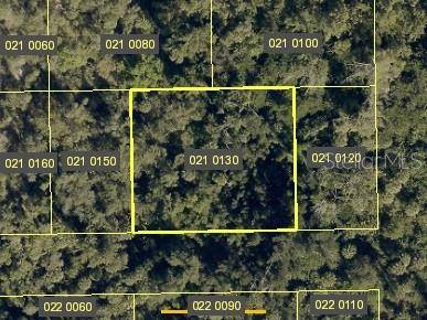 SANTIAGO ST, Estero, FL 34134