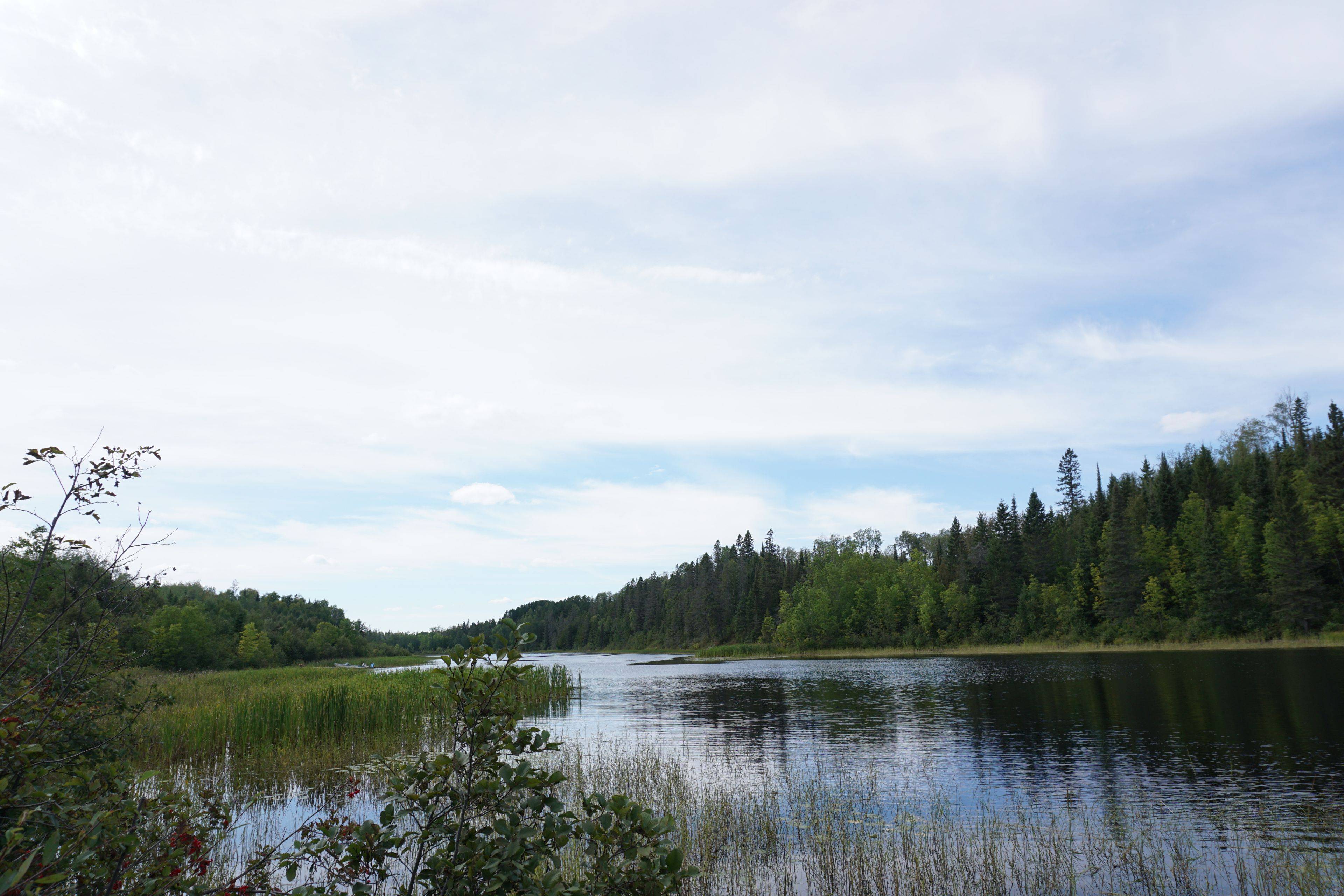 Lot 1 CAMPBELL'S RD, Timiskaming, ON P0J 1B0