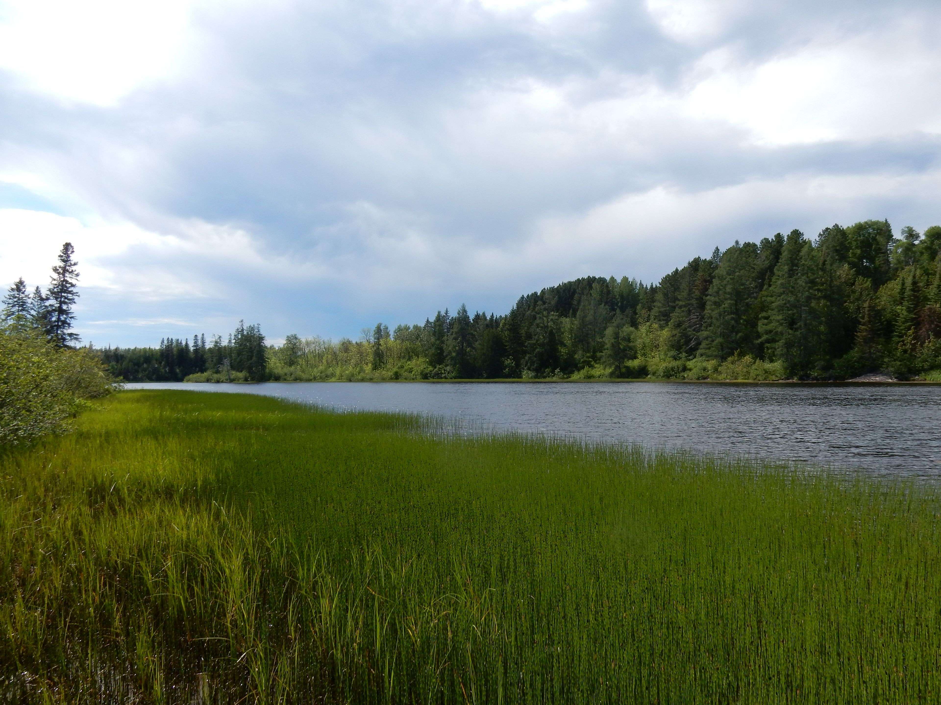 Lot 1 CAMPBELL'S RD, Timiskaming, ON P0J 1B0