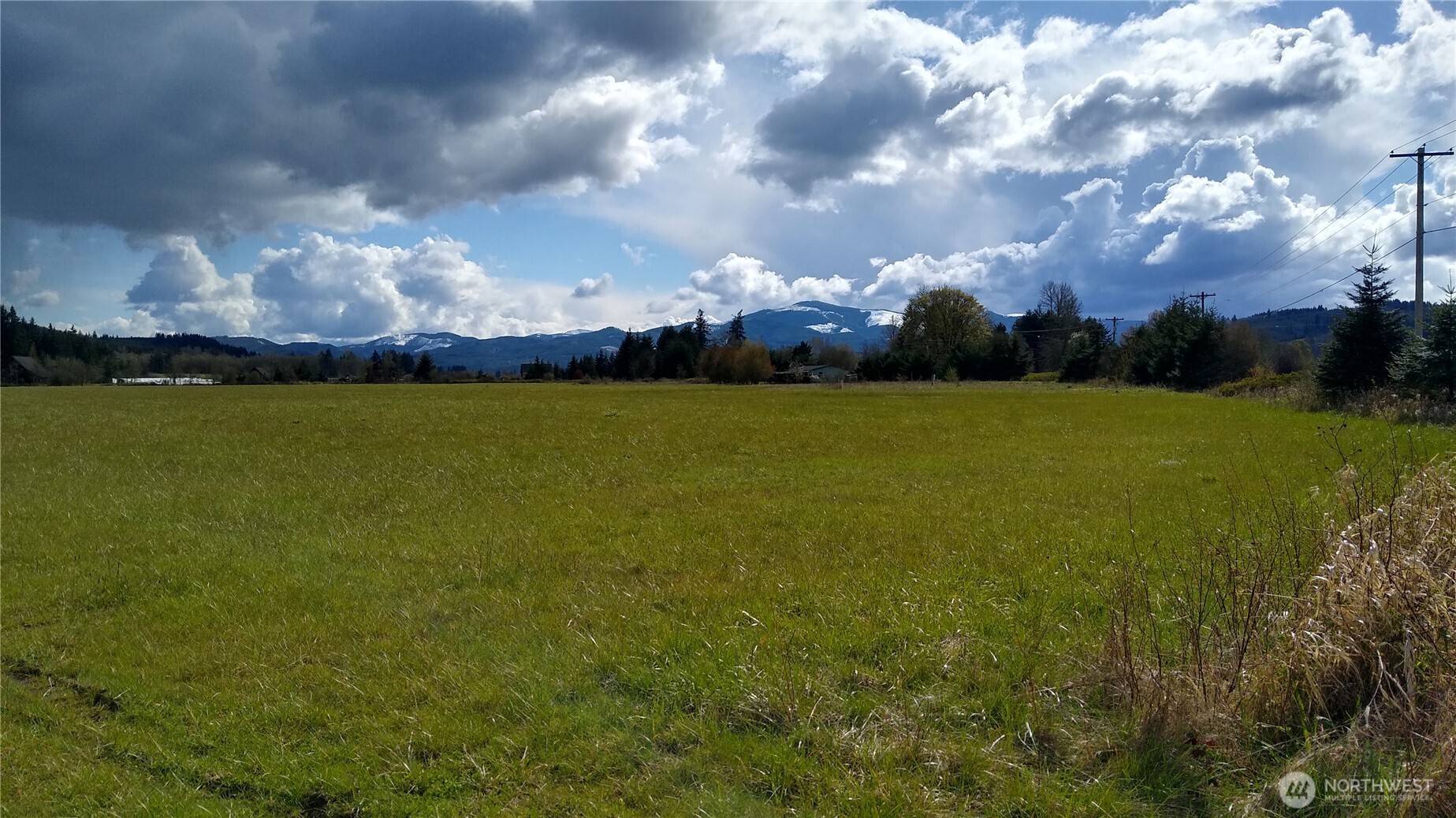 559 08 Boistfort Rd, Curtis, WA 98538