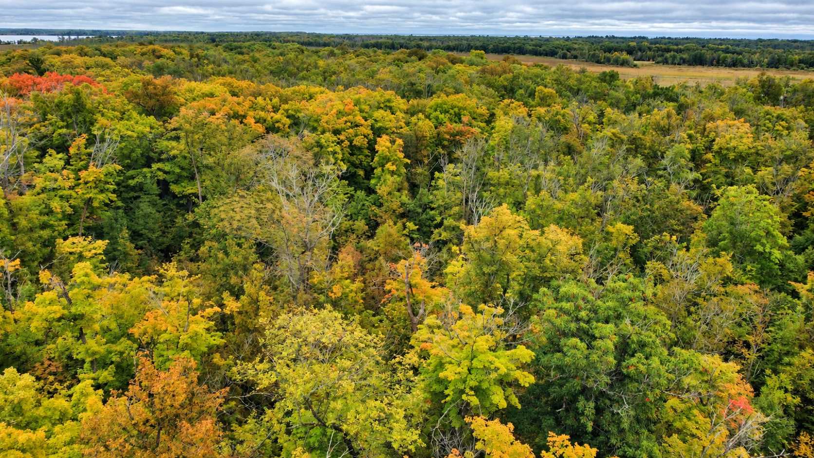 Lot 12 Beaver Drive, Brainerd, MN 56401