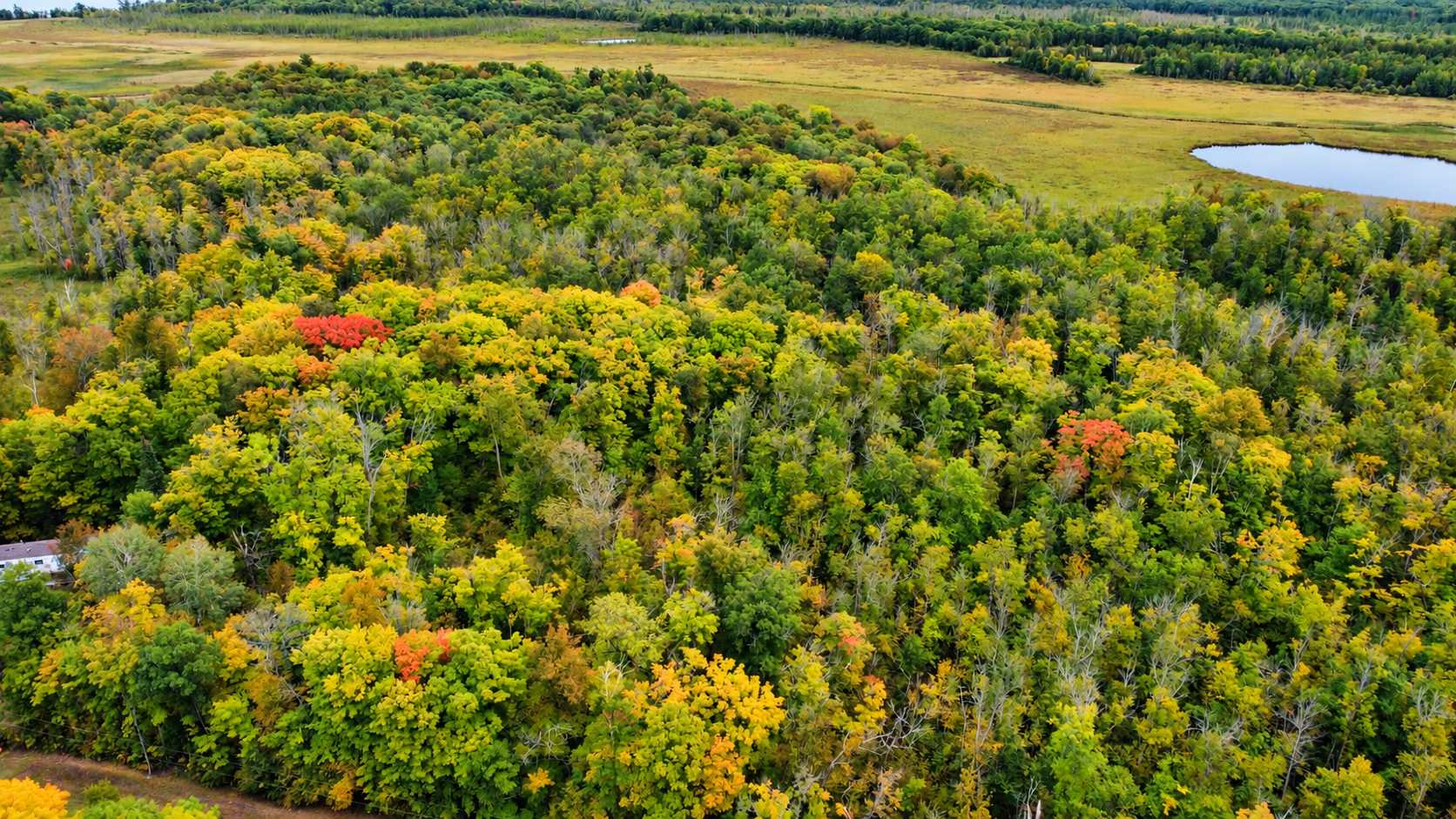 Lot 12 Beaver Drive, Brainerd, MN 56401