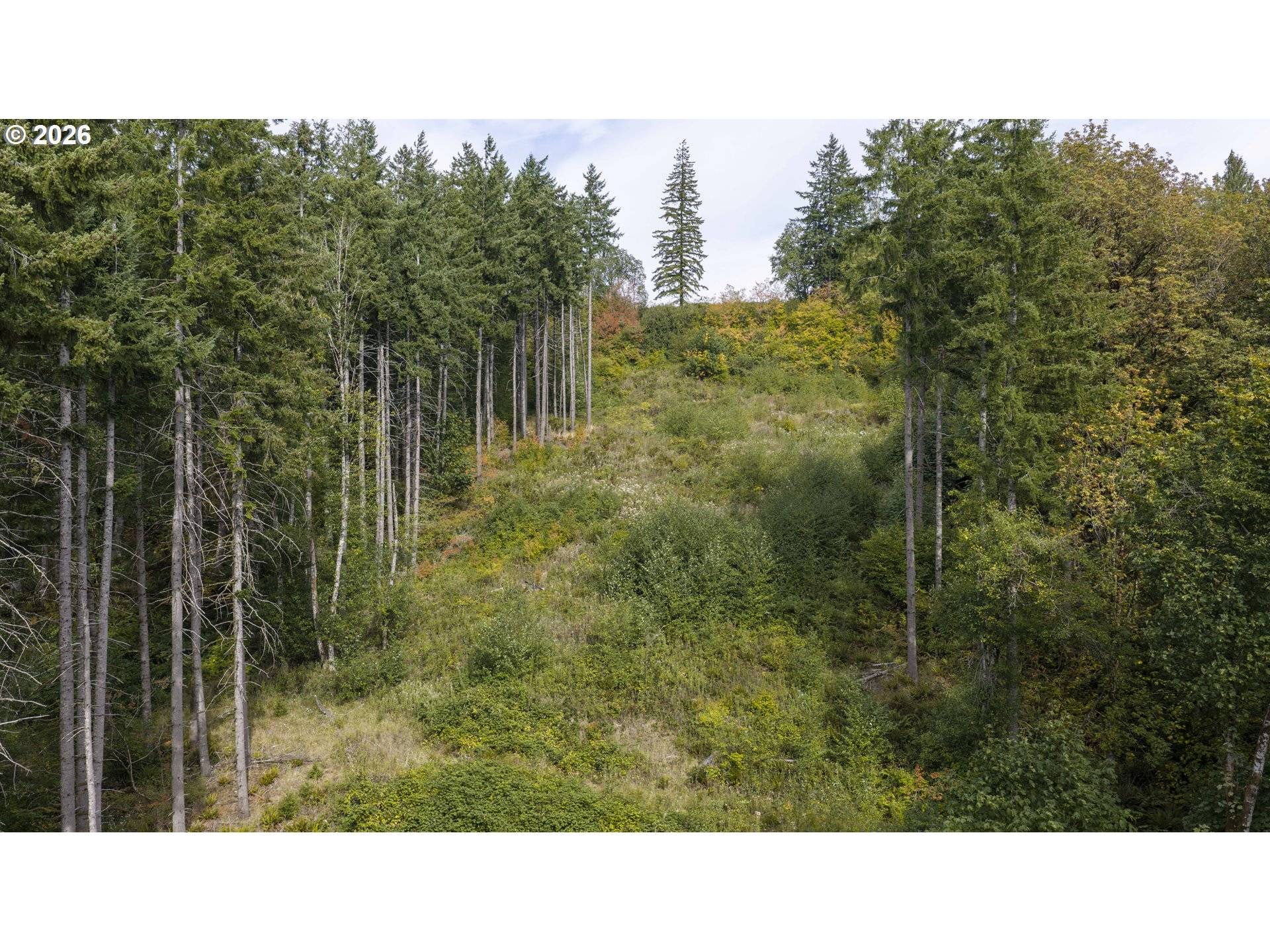 265 Talon CT #4, Kalama, WA 98625
