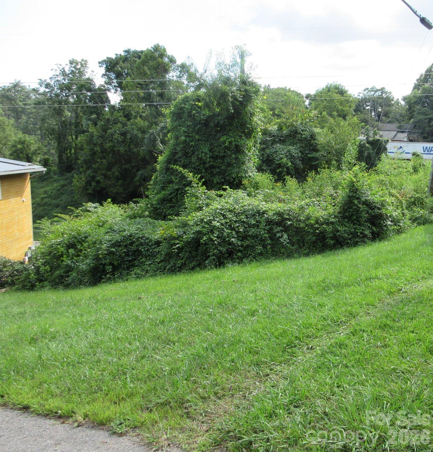 3 N Belgium LN, Asheville, NC 28806