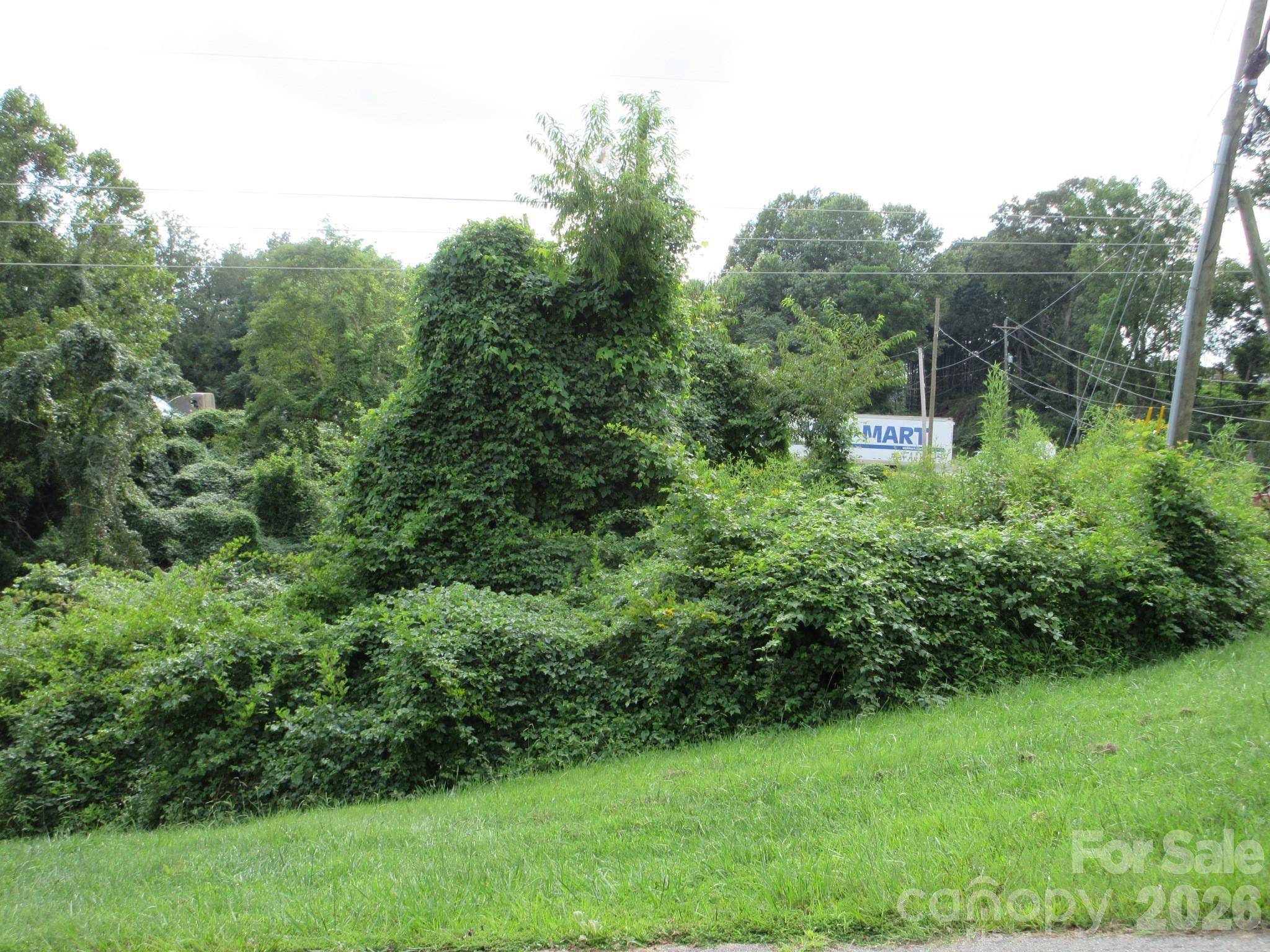 3 N Belgium LN, Asheville, NC 28806