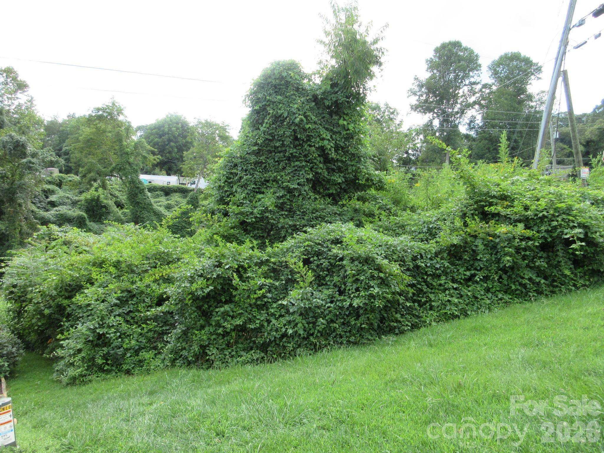 3 N Belgium LN, Asheville, NC 28806