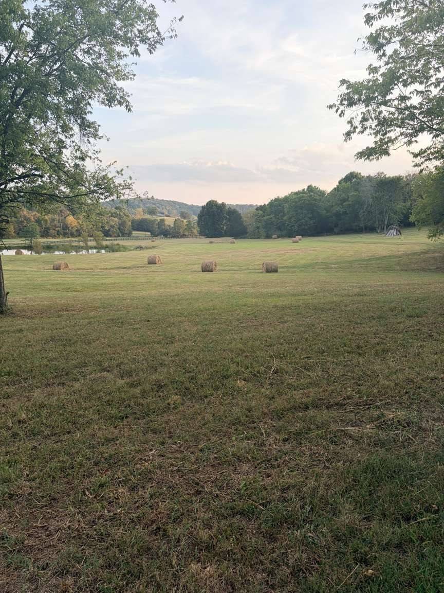 4243 Beech Log Rd, Lebanon, TN 37090