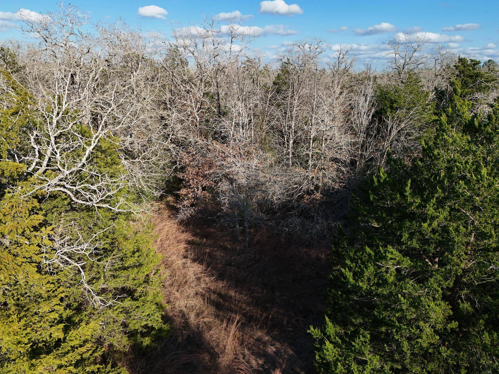 Lot 14 & Lot 15 Antioch RD, Paige, TX 78659