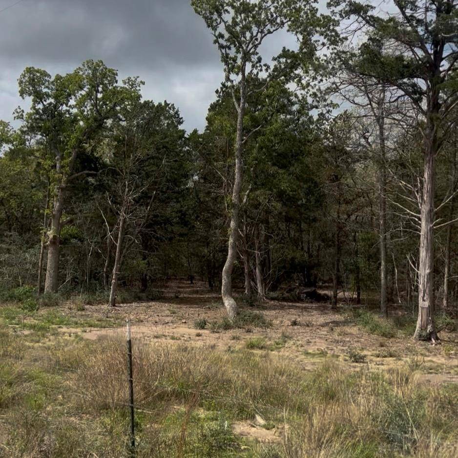 Lot 14 & Lot 15 Antioch RD, Paige, TX 78659