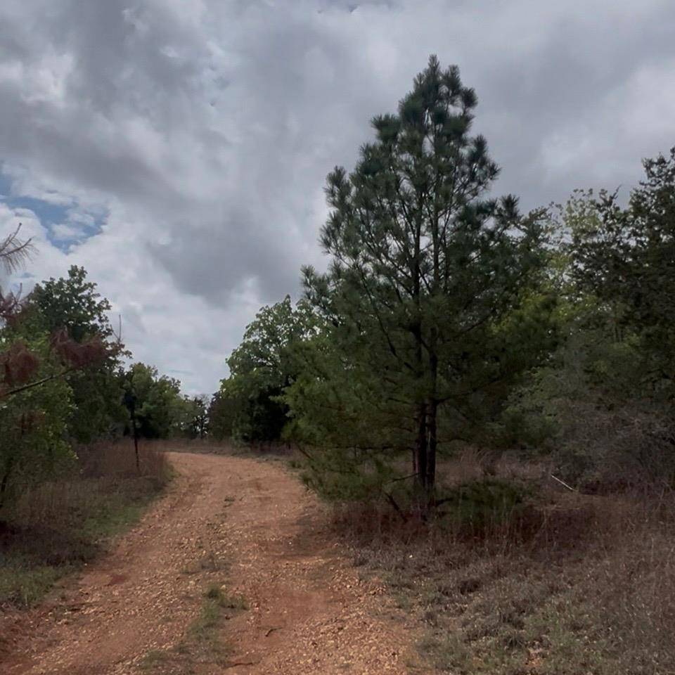 Lot 11 Antioch RD, Paige, TX 78659
