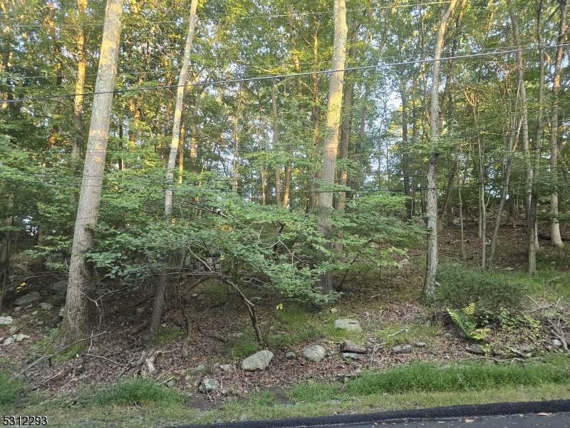 35 Mountain Trl, Hopatcong Boro, NJ 07843