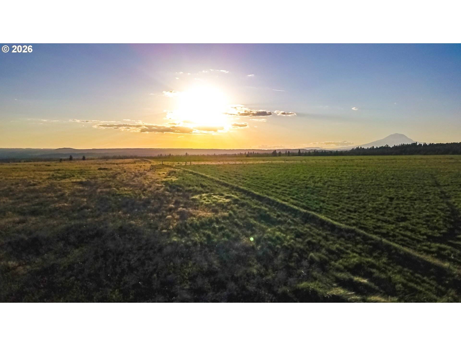 35 BUDDY LN, Goldendale, WA 98620