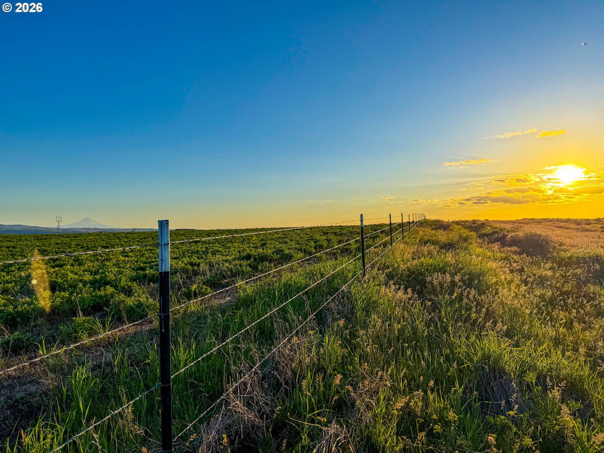 35 BUDDY LN, Goldendale, WA 98620