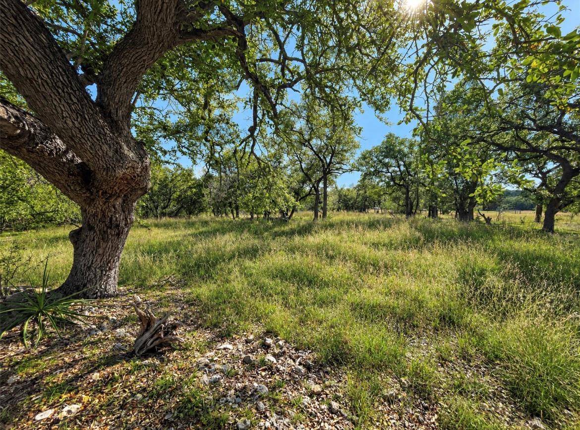 TBD Carney LN, Wimberley, TX 78676