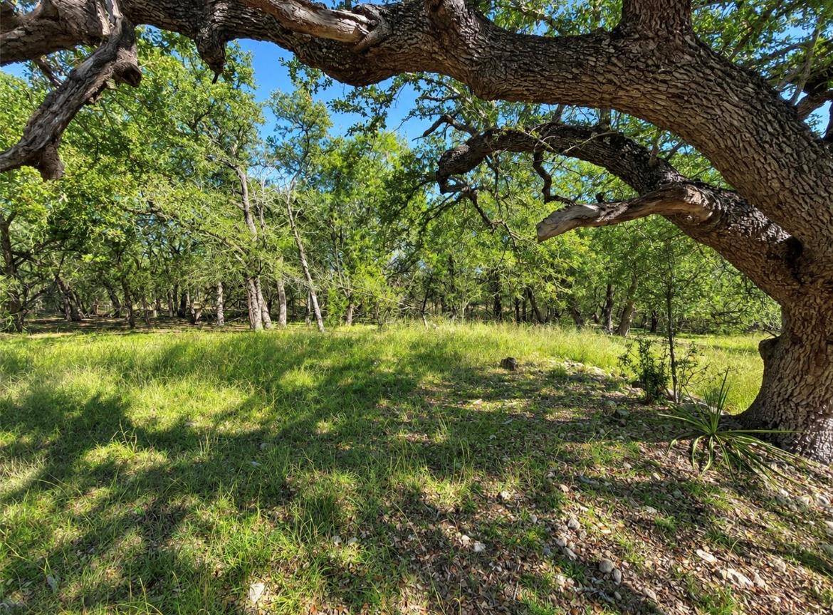 TBD Carney LN, Wimberley, TX 78676