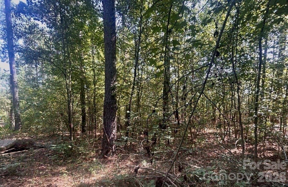 1216 Ross RD, Blackstock, SC 29014