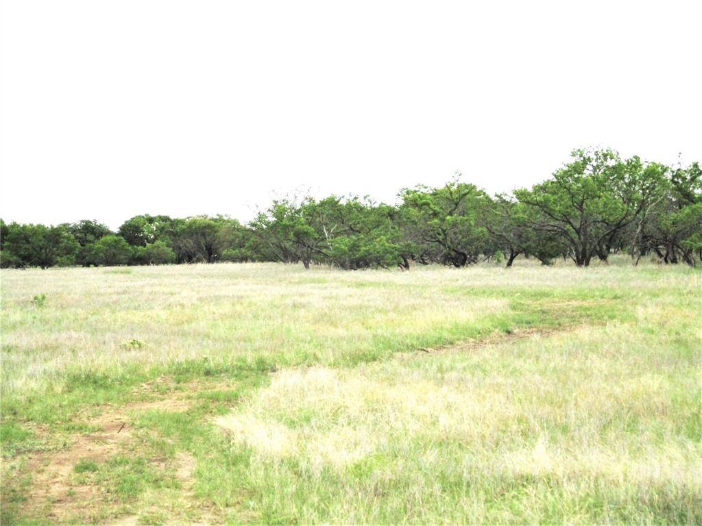 Address not disclosed, Jacksboro, TX 76458