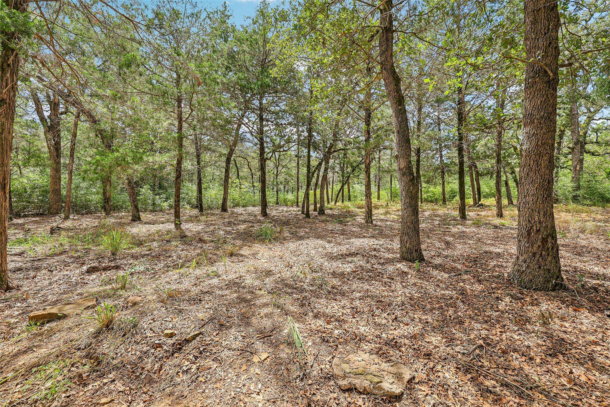 267 Corral RD, Smithville, TX 78957
