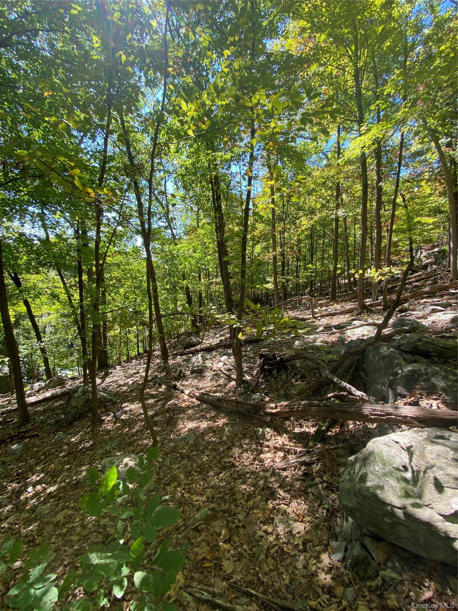 Louise LN, Greenwood Lake, NY 10925