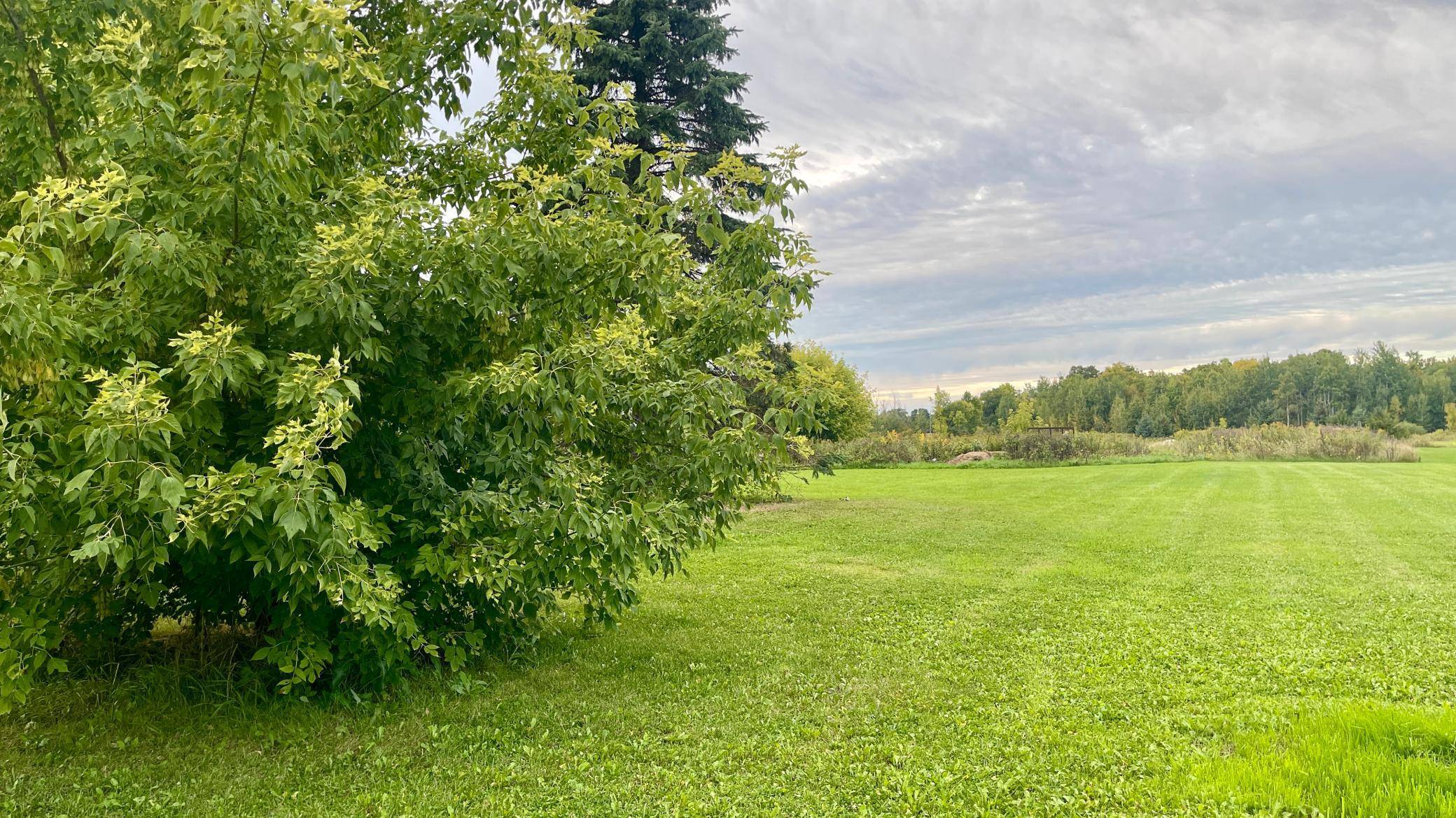 18042 60th AVE, Milaca, MN 56353