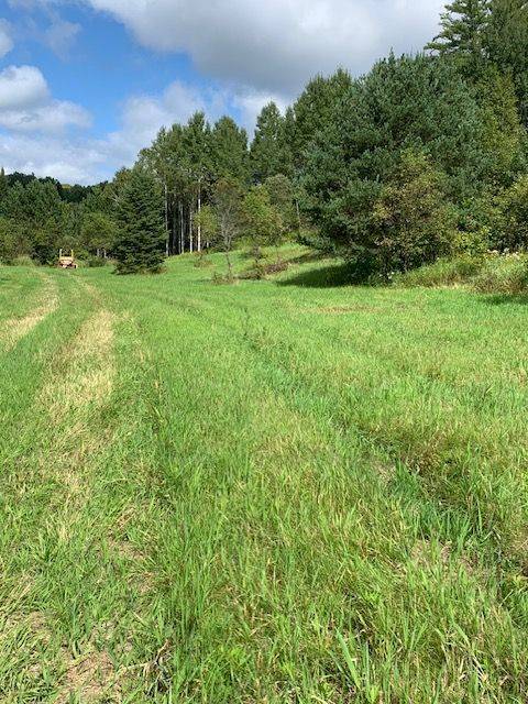 0 THREE MILE LAKE RD, Armour, ON P0A 1L0