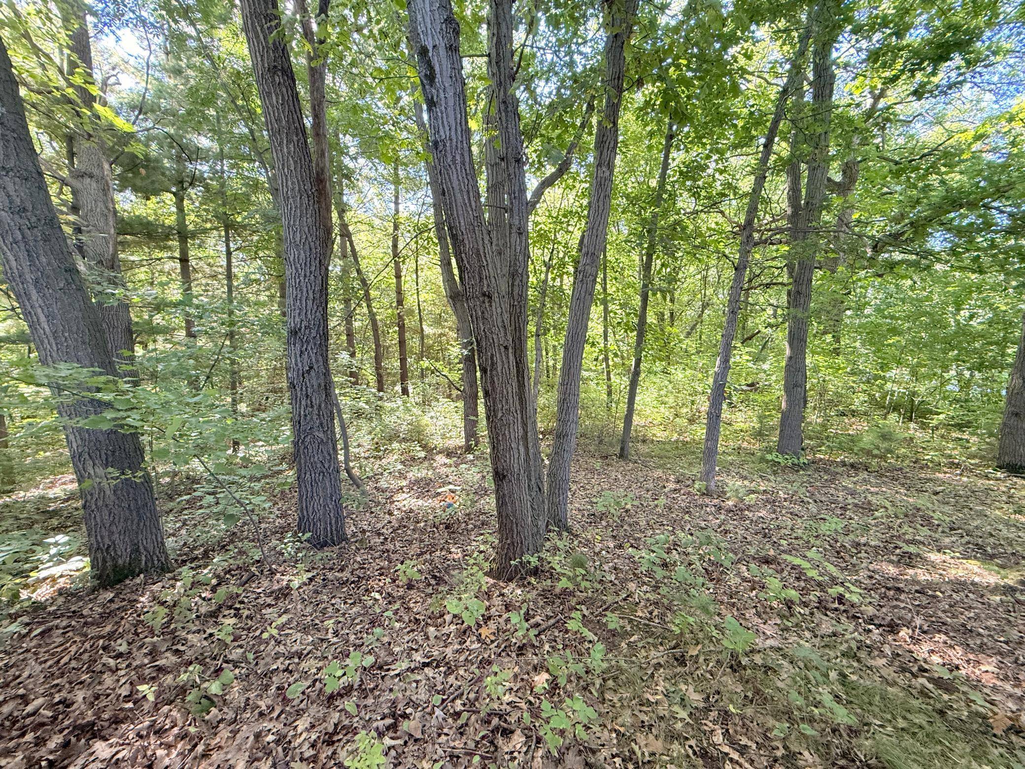TBD 120th ST, Zimmerman, MN 55398