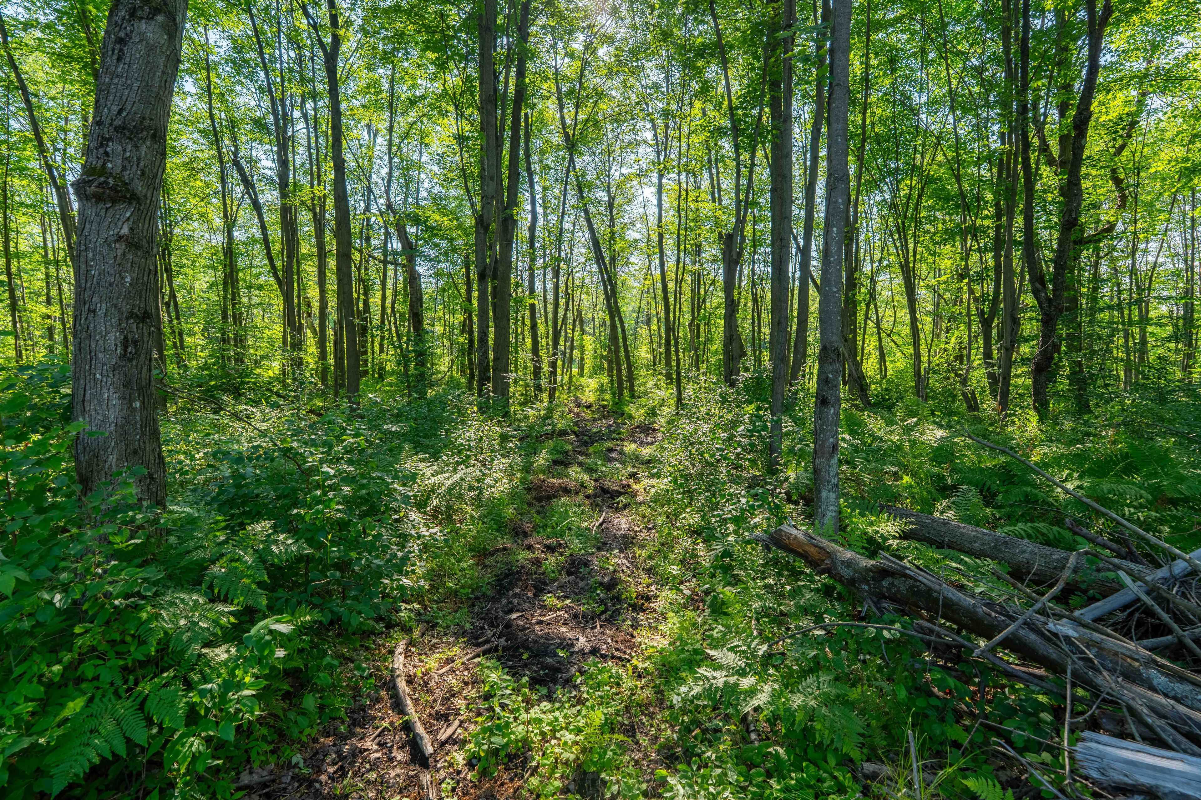 Lot 20 CONCESSION 4 RD, Alfred And Plantagenet, ON K0B 1L0