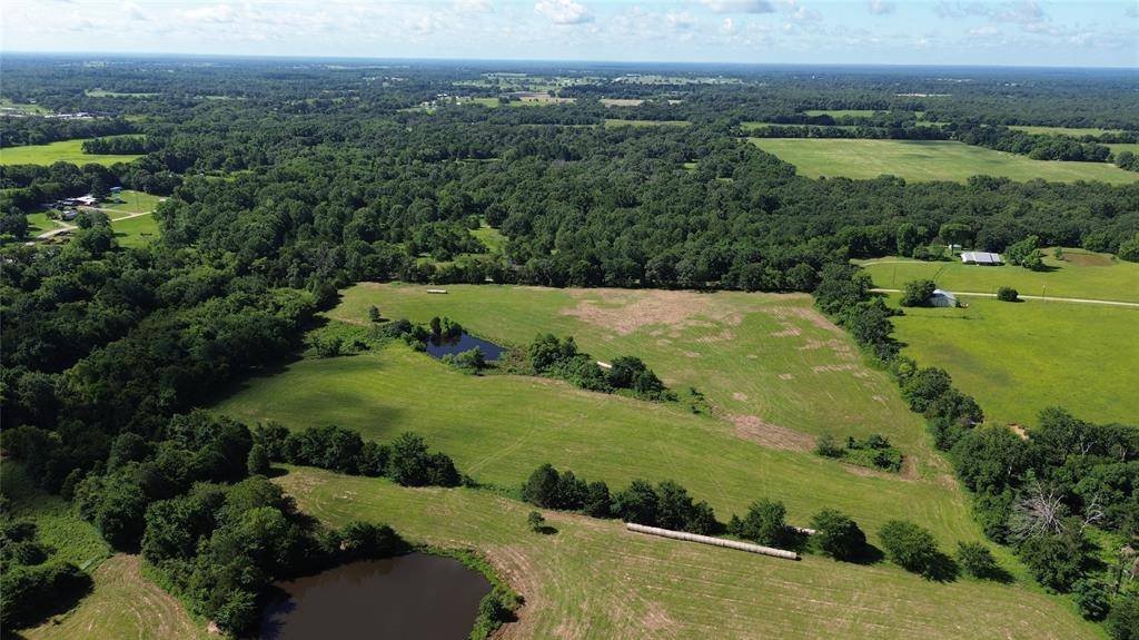 Lot 2 Rains CR1140 Road, Emory, TX 75440