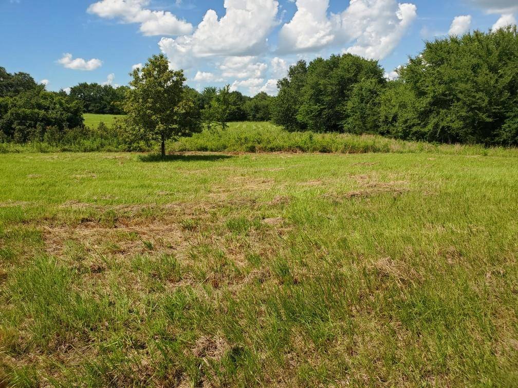 Lot 3 Rains CR1140 Road, Emory, TX 75440