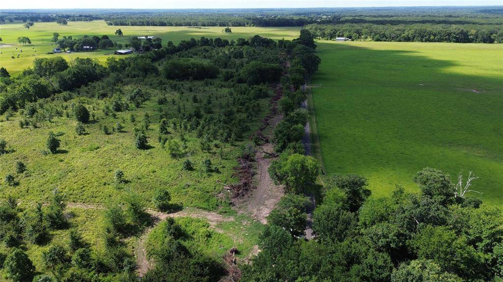 Lot 6 Rs County Road 2470, Emory, TX 75440