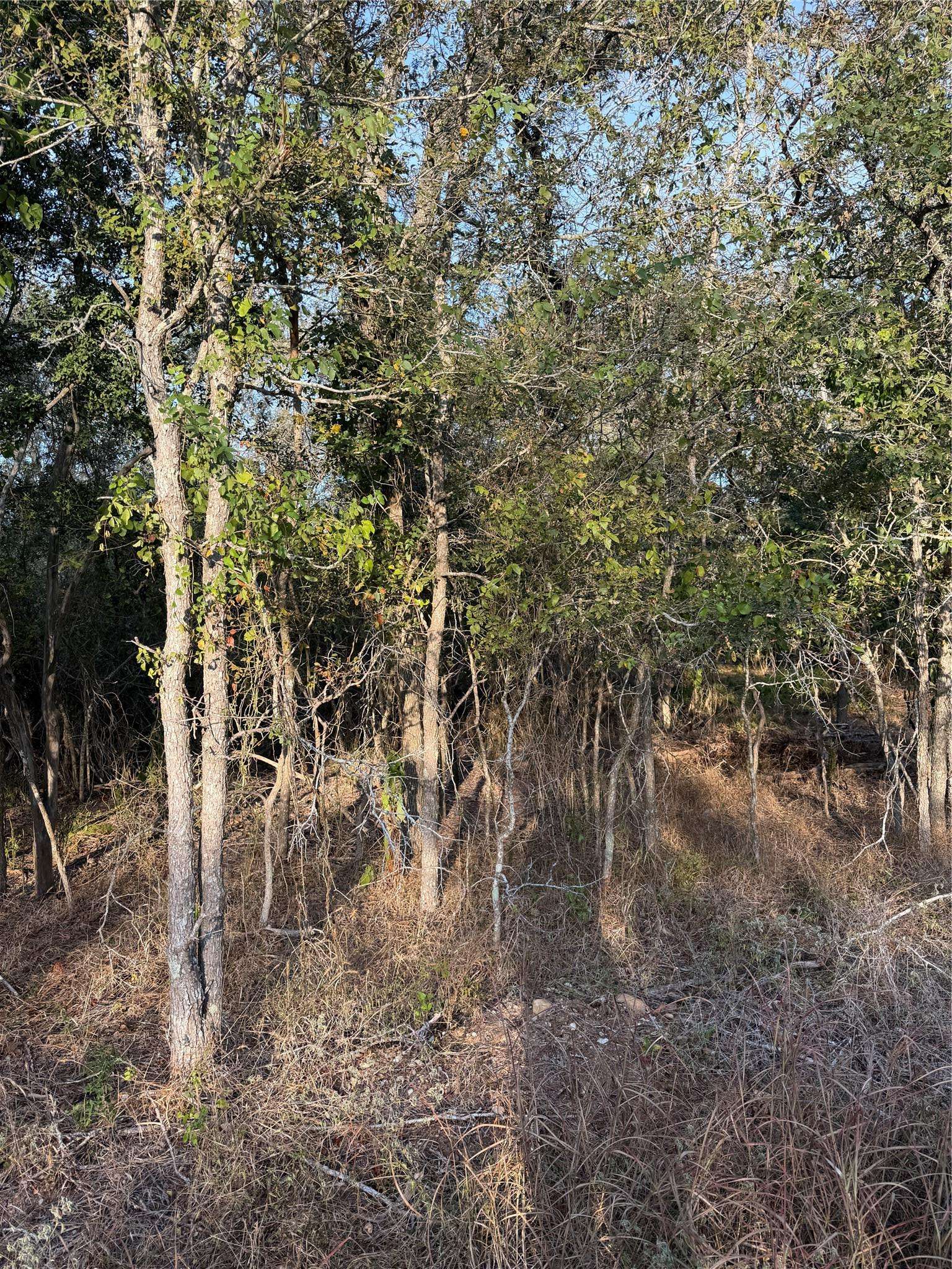 172 Helemano DR, Bastrop, TX 78602
