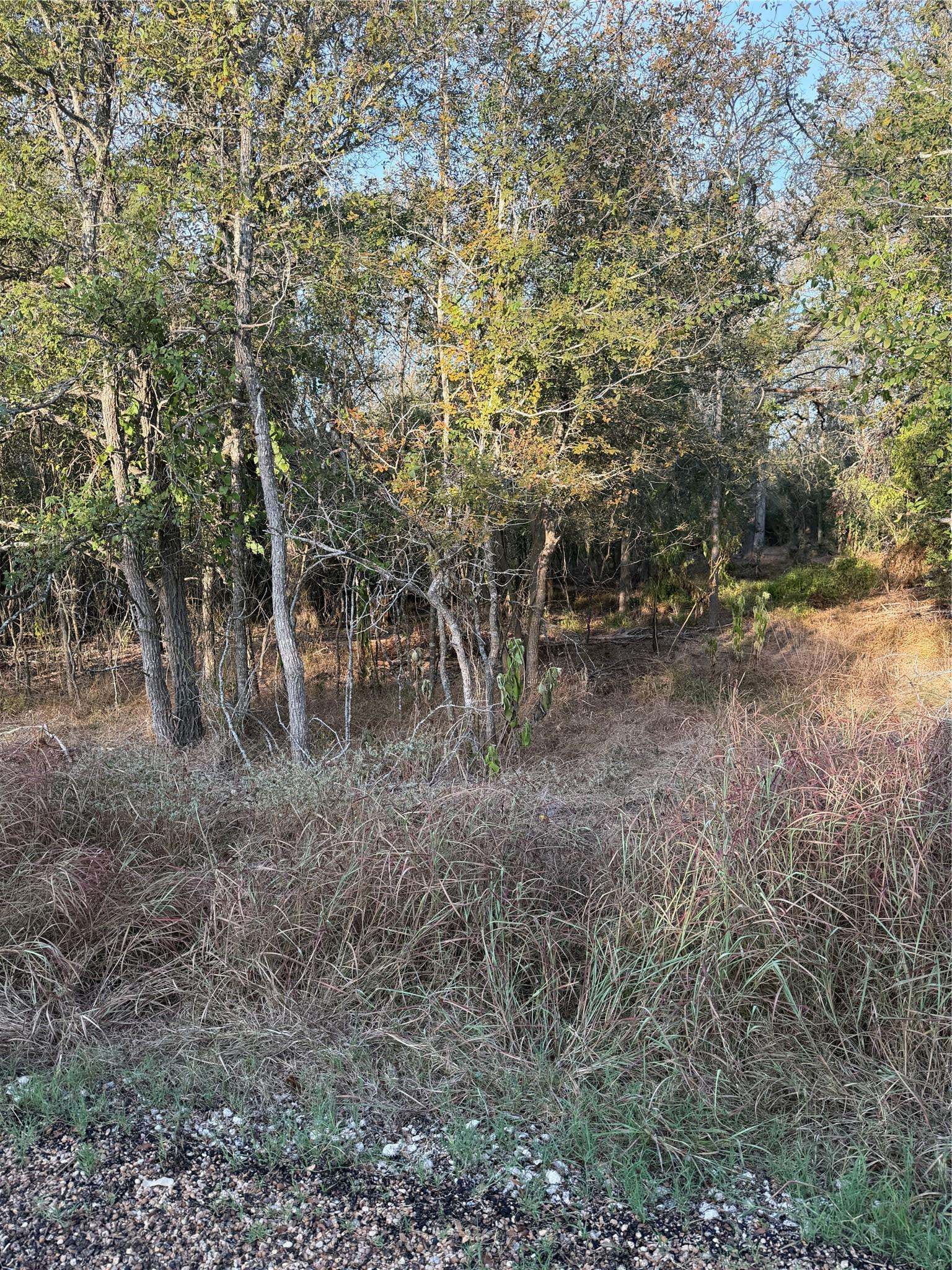 172 Helemano DR, Bastrop, TX 78602