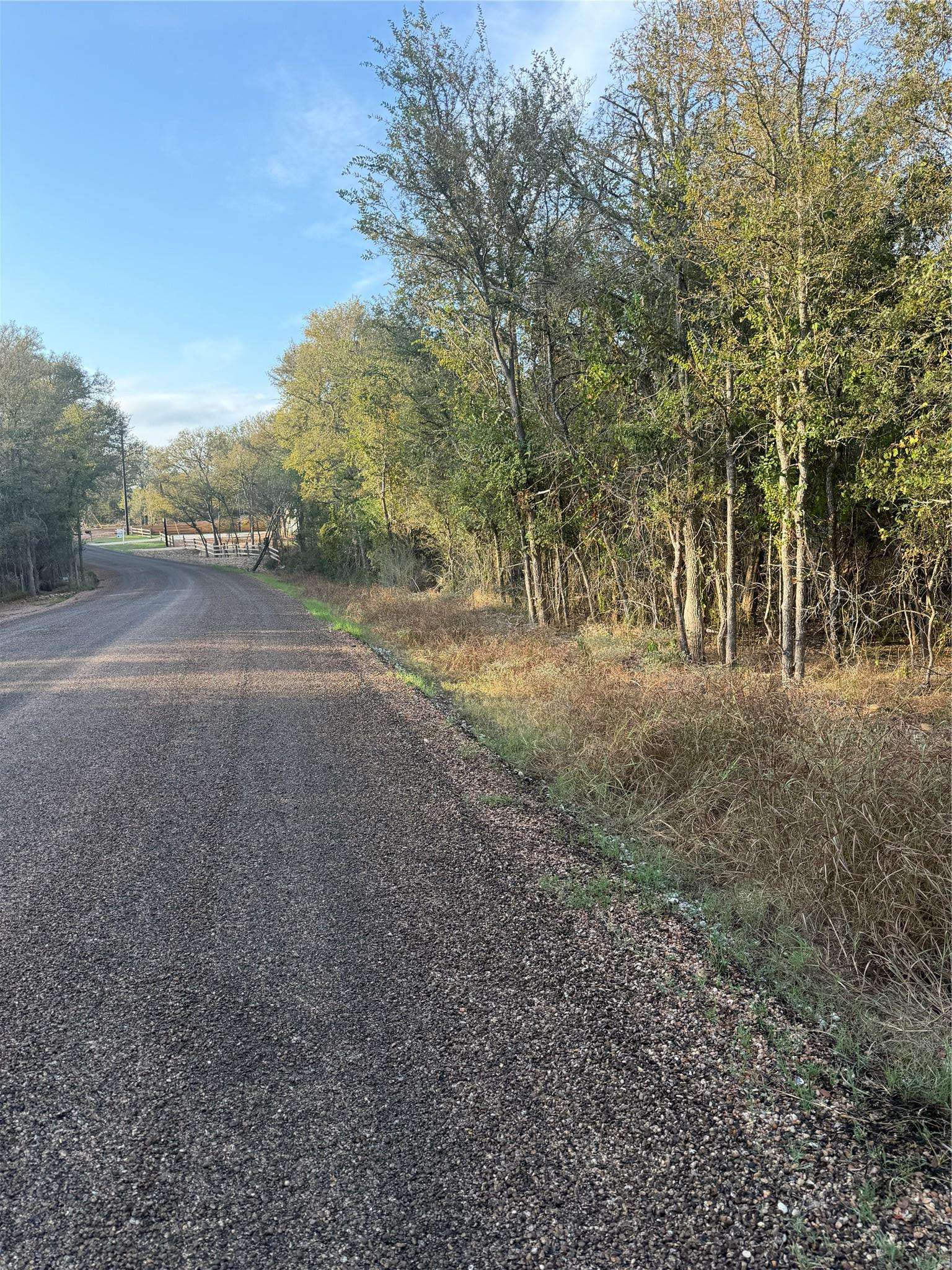 172 Helemano DR, Bastrop, TX 78602