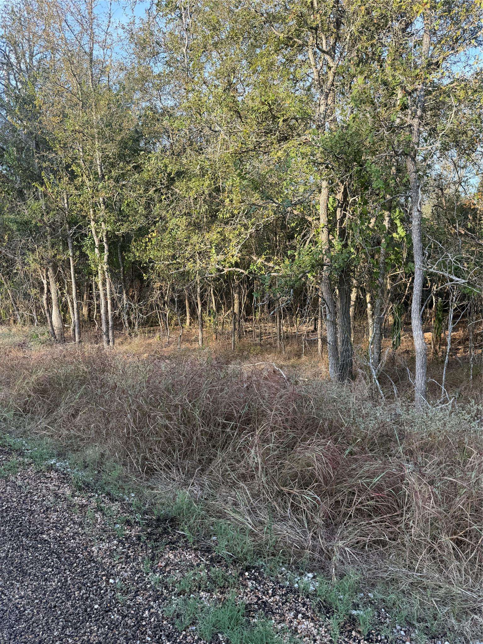 172 Helemano DR, Bastrop, TX 78602