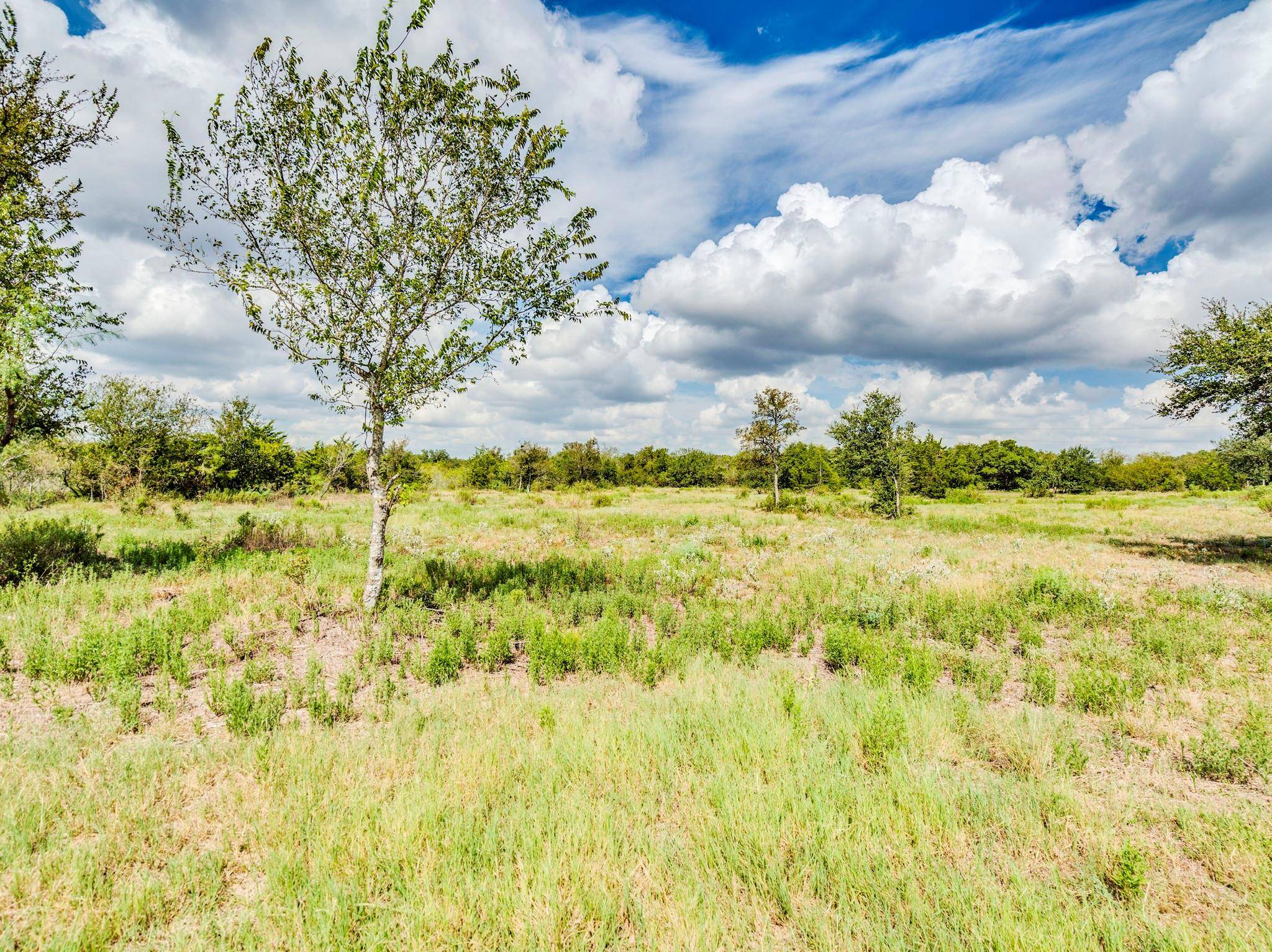 120 Hillcrest LN, Dale, TX 78616