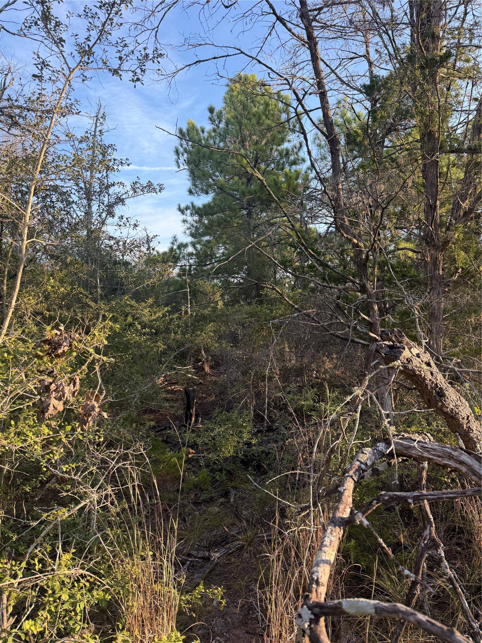 142 Helemano DR, Bastrop, TX 78602