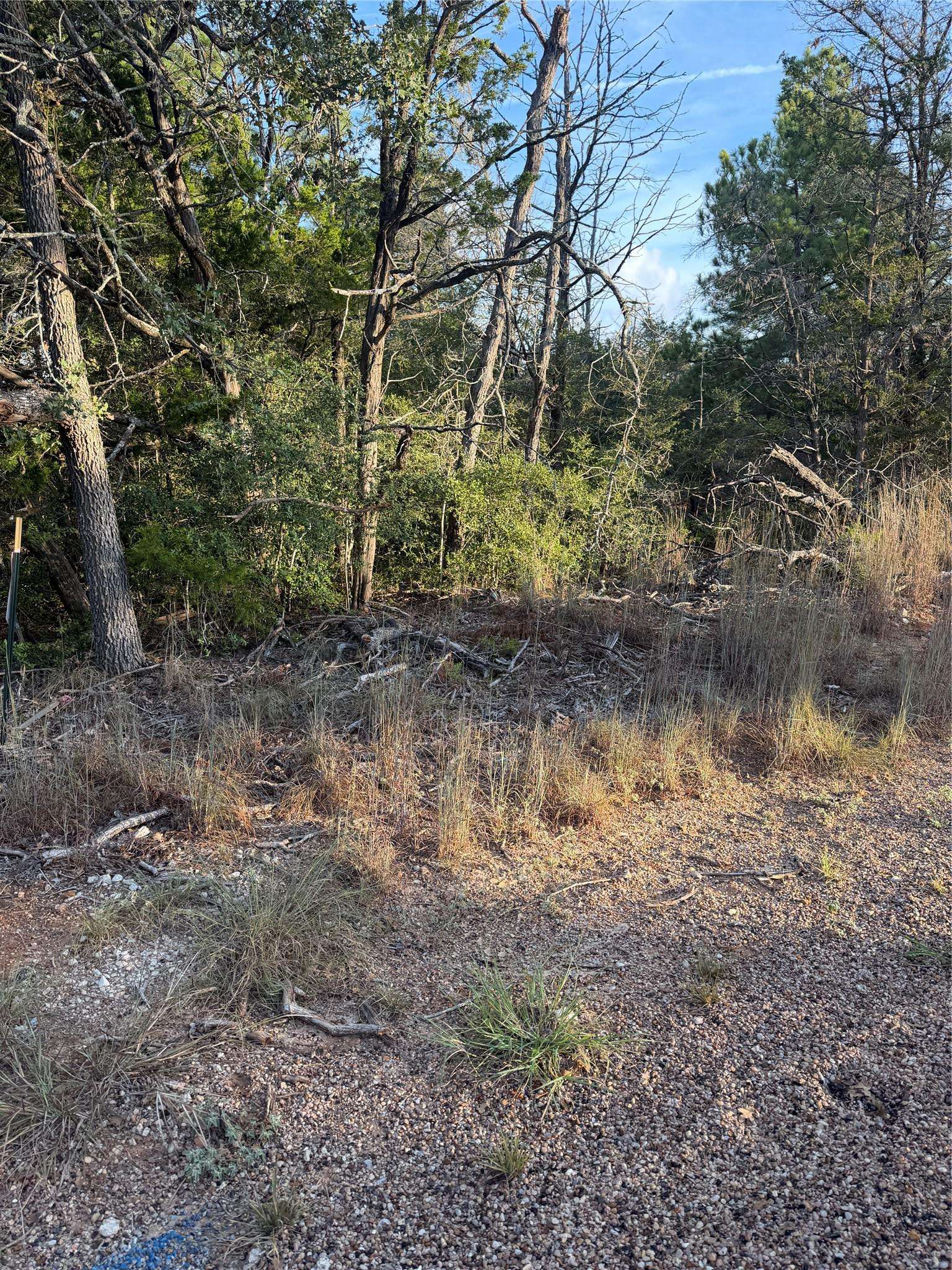 142 Helemano DR, Bastrop, TX 78602