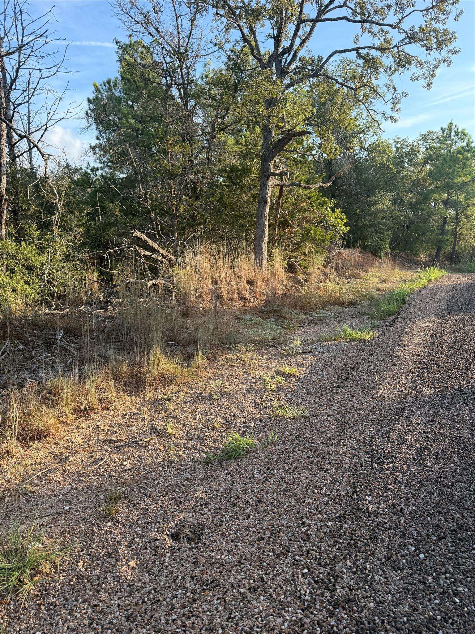 142 Helemano DR, Bastrop, TX 78602