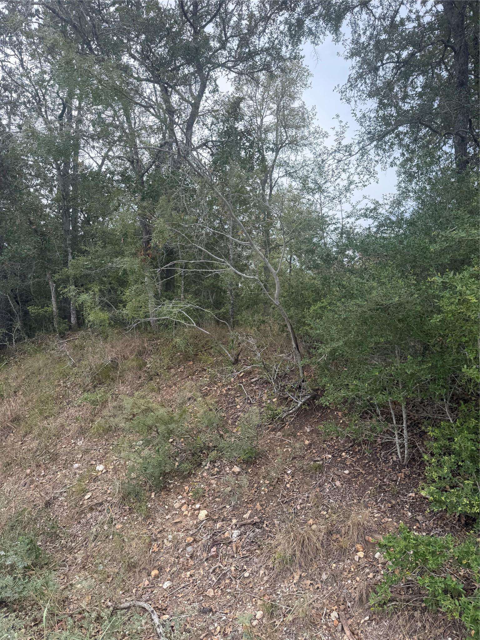 123 Mokuleia CIR, Bastrop, TX 78602